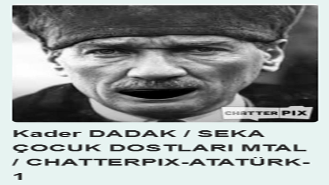 Ünlülerimiz Chatterpix ile Vatandaşlık Haklarını Açıklıyor